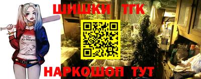 дмт Обь