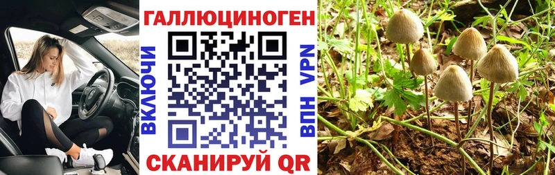 Псилоцибиновые грибы Cubensis  Хабаровск 