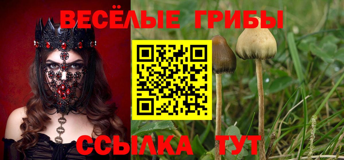 наркота  Псилоцибиновые грибы MAGIC MUSHROOMS  Вход с VPN  Хабаровск 